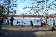 b_060129_001lg