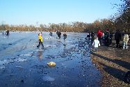 b_060129_003lg