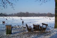 b_060129_005lg