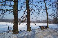b_060129_007lg