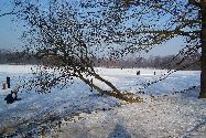 b_060129_008lg