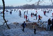 b_060129_010lg